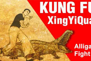 How Does The Alligator Fight In Xingyi?