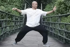 What Do I Look for in a Quality Tai Chi Instructor?