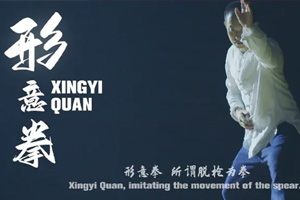 Xingyiquan History and Techniques