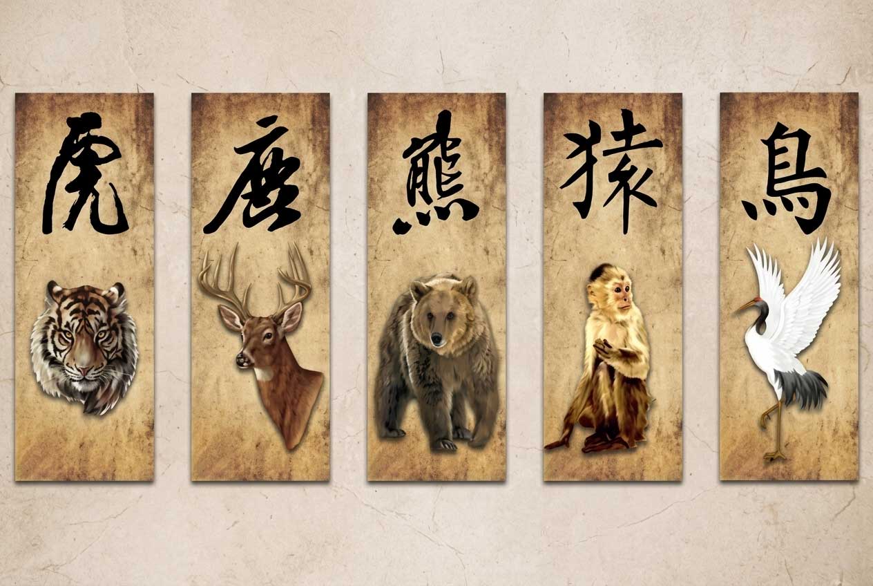 Five Animals Qigong Practicing Steps