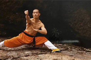 Best Way to Learn Kung Fu
