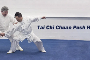 How To Do Tai Chi Chuan Push Hands?