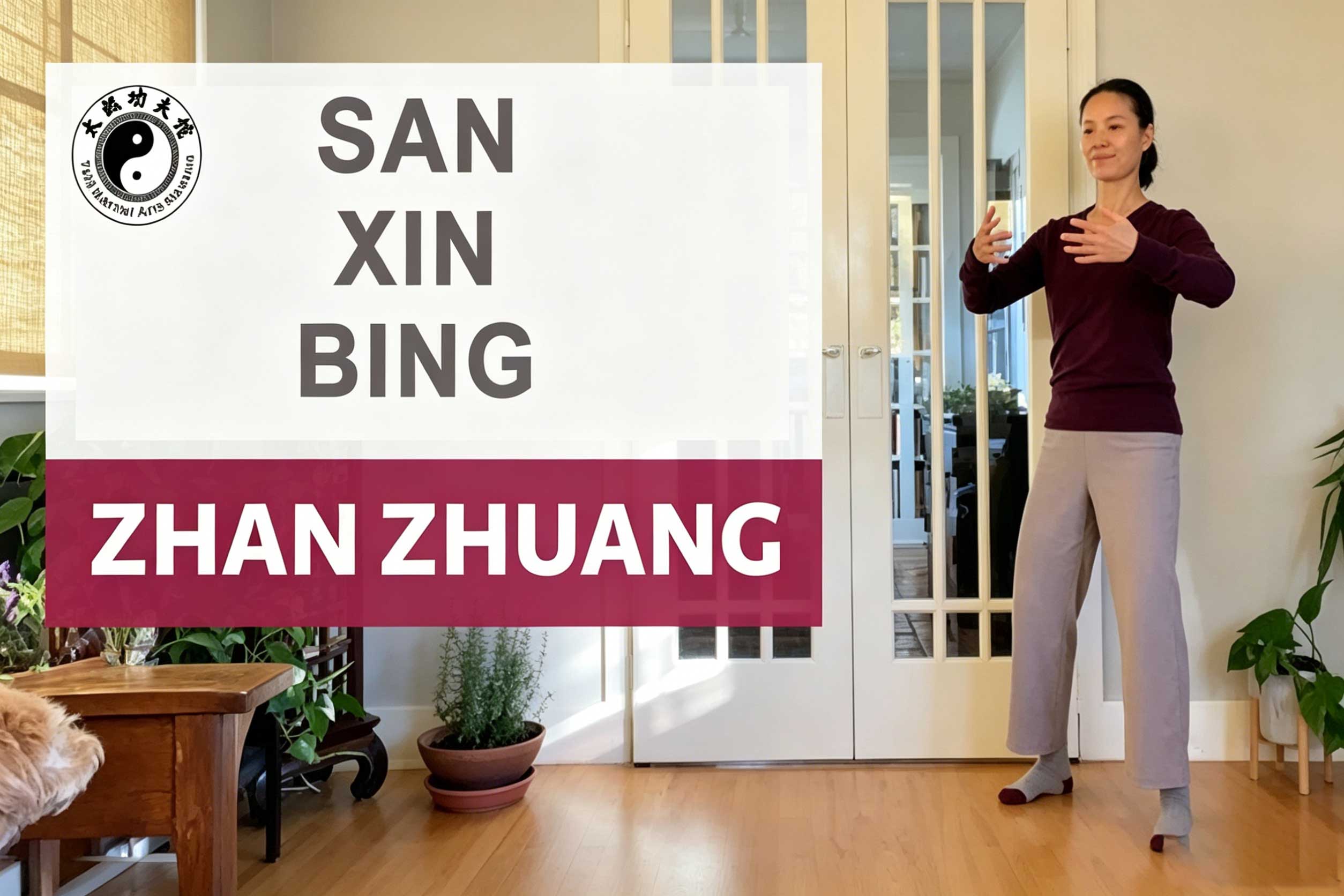 San Xin Bìng Zhan Zhuang Benefits
