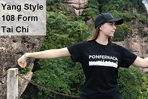 108 Form Tai Chi Full Version