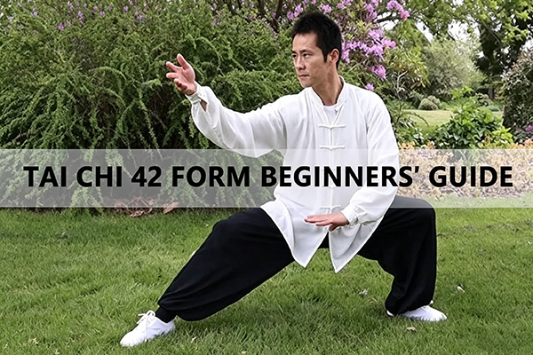 Tai Chi 42 Form Beginners'Guide