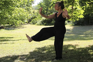 Chen Tai Chi Wellness Program