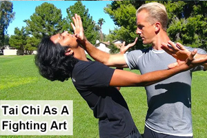 How Does Tai Chi As A Fighting Art​ Work?