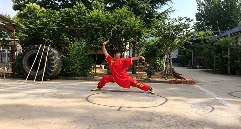 Longnan Kung Fu School